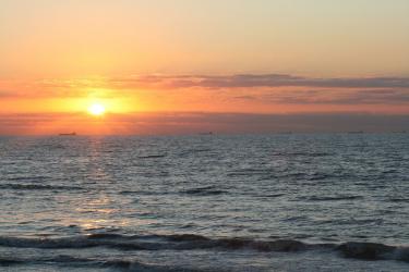 A Joyful Morning