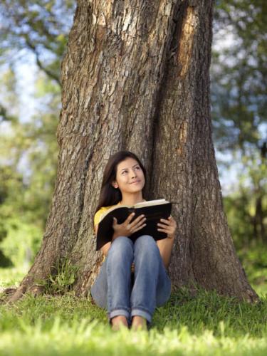 The Bible and the Brain