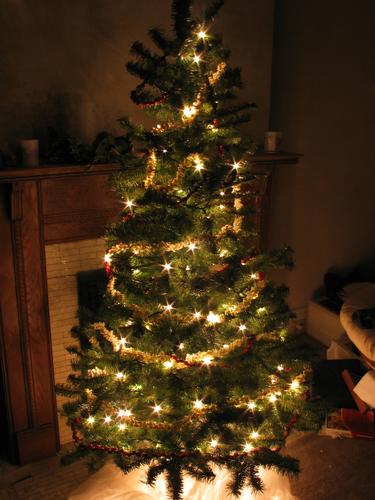 I Won’t Be Decorating My Tree with Popcorn Strings