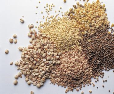 Coming Food Crises Threaten Mankind