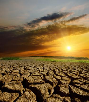 Dry cracked land with sunset in back - Drought Conditions Reach Crisis Levels