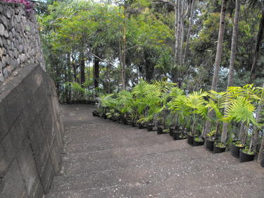 275 Steps in Panajachel, Guatemala