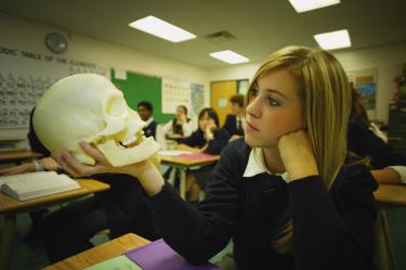 Help Your Child Refute Evolution