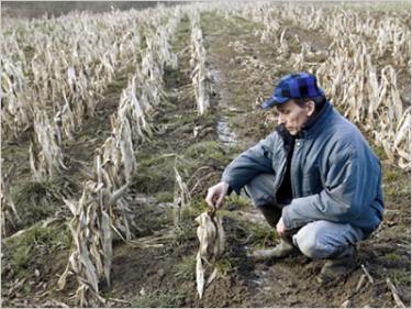 Is a Global Food Crisis Brewing?