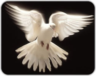 Know Jesus, Know Peace