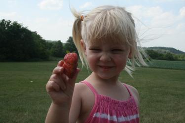 Our First Strawberry