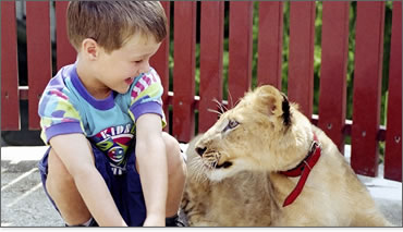 p_child-lion.jpg.crop_display.jpg