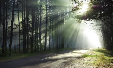 Planet Earth Will Survive and Flourish!