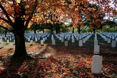 The Resurrection of the Dead: What Does the Bible Really Teach?