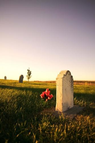 Grave with flowers at sunset - Understanding God