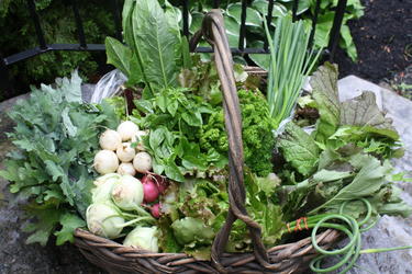 basket of vegetables