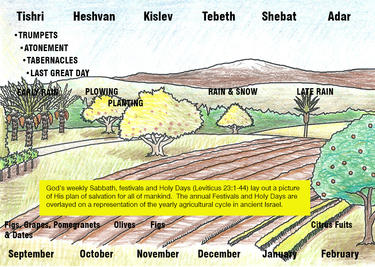 chart of the crops and months in Israel