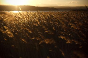 Crop at sunset - What Do the Holy Days Mean for Christians Today?