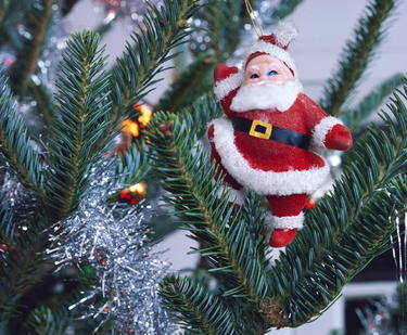 Santa Claus Christmas ornament in pine tree.