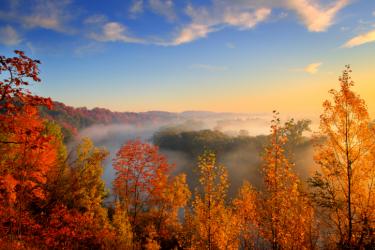 Warm fall morning - Who Could Possibly Misunderstand the Second Coming? 