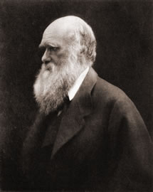 Why Charles Darwin Rejected the Bible
