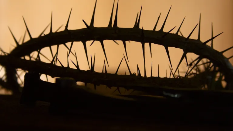 At its heart, the story of Jesus Christ is a love story—the love of the Father who gave His only Son and the love of the Son who gave His life so that all who are willing may ultimately share eternal life in the family of God. A crown of thorns.
