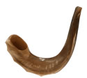 A shofar horn