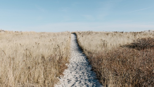 A sandy path.