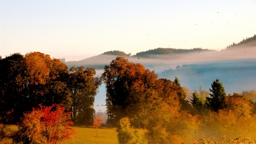 Eugene in the fall