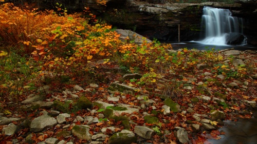 Feast of Tabernacles - Snowshoe West Virginia