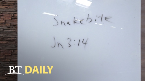 BT Daily: How to Cure a Snakebite