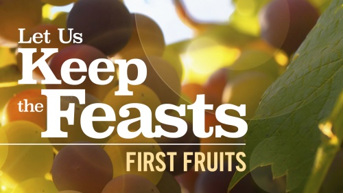 Bible study First Fruits