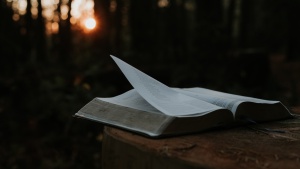 a open Bible against a dark outdoor background