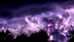 Lightning and trees