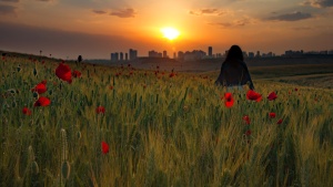 A person walking in a field outside of a city.