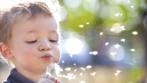 A young child blowing bubbles.