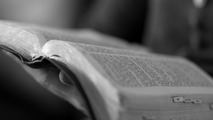 A person holding a Bible.