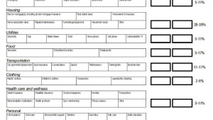 Monthly income expense worksheet