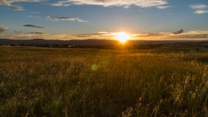 A sunset over a field