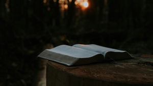 An open Bible on a log.