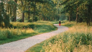 A person walking on a path.