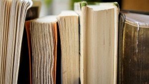 The paper edges of books on a shelf.