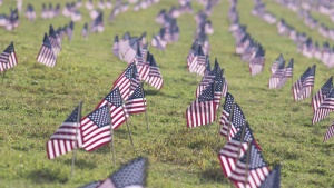 Small American flags stuck in the ground at a cemetery. 