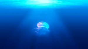 A large jellyfish swimming in the deep blue ocean.