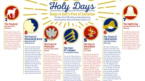 Bible infographic - God's Holy Days: Steps in God's Plan of Salvation Infographic