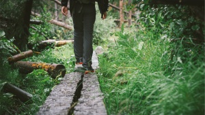 A person walking on wood beams in a forest.