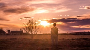 A man standing in a pasture looking at the setting sun.