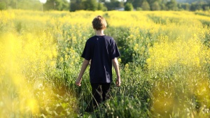 A young boy walking in a field of yellow flowers.