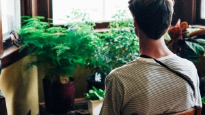 A young man sitting in a chair looking out a window.