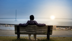 A person sitting on a bench overlooking a large bridge spanning a big body of water.