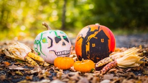 Halloween drawings on pumpkins. 