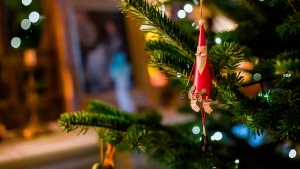 Close up of a Christmas tree with Santa Claus ornament hanging on a limb.