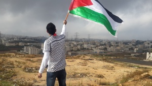 A young man holding a Palestinian flag.