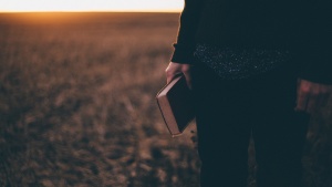 A person standing in a field holding a Bible while the sun is setting.