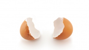 A cracked egg.